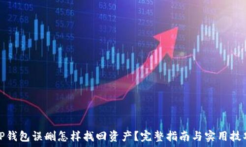   
TP钱包误删怎样找回资产？完整指南与实用技巧