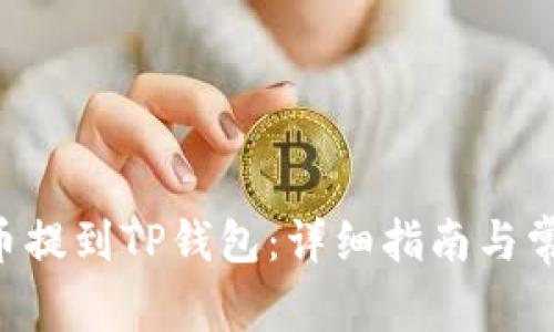如何将BIG币提到TP钱包：详细指南与常见问题解答