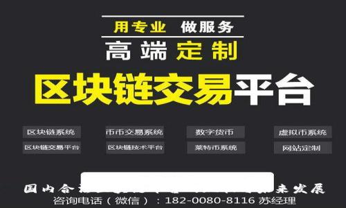 国内合法区块链平台的现状与未来发展