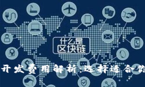 区块链平台开发费用解析：选择适合你的解决方案