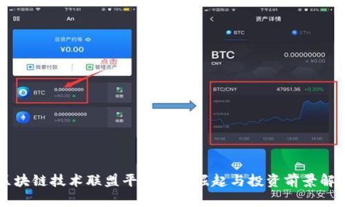 区块链技术联盟平台币的崛起与投资前景解析