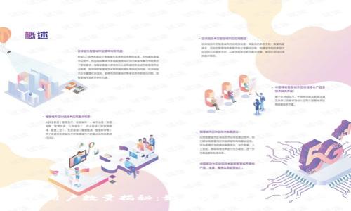 tP钱包用户数量揭秘：如何为数字资产保驾护航