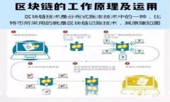 选择最佳区块链平台：深入探讨适合初学者和企