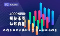 选择最好的区块链平台：全面解析与推荐