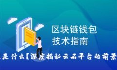 区块链是什么？深度揭秘云石平台的前景与应用