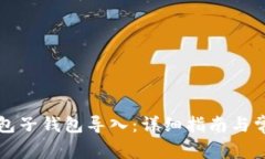 如何将TP钱包子钱包导入：详细指南与常见问题解