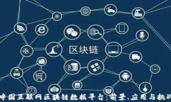 中国互联网区块链数据平台：前景、应用与挑战