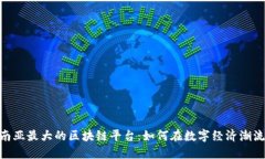 探秘东南亚最大的区块链平台：如何在数字经济