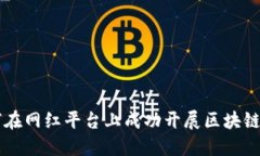 如何在网红平台上成功开展区块链项目
