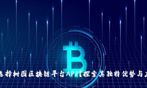 为什么选择树图区块链平台APP？探索其独特优势与应用前景