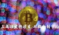 如何在区块链平台上成功发行项目：从概念到市