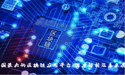 中国最大的区块链应用平台：深度解析及未来展望