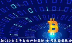 揭开区块链CEO交易平台的神秘面纱：如何选择最