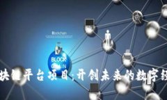 新加坡区块链平台项目：开创未来的数字经济新