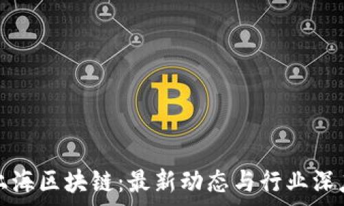   
探索上海区块链：最新动态与行业深度分析