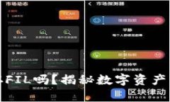 TP钱包可以储存FIL吗？揭秘数字资产管理的最佳选