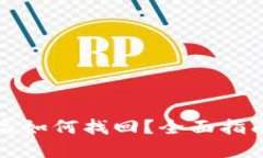 TP钱包币被盗如何找回？全面指南与实用技巧