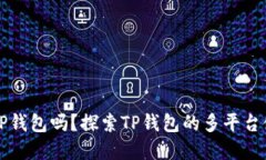 电脑能下载TP钱包吗？探索TP钱包的多平台使用和