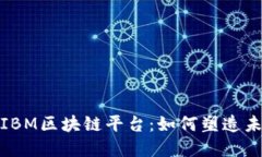 探秘印尼的IBM区块链平台：如何塑造未来数字经