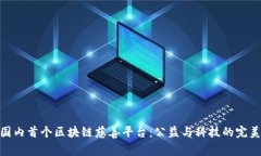 探秘国内首个区块链慈善平台：公益与科技的完