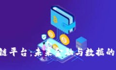 : 探索DCP区块链平台：未来金融与数据的颠覆性解