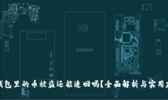 TP钱包里的币被盗还能追回吗？全面解析与实用建