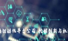 国内区块链孵化平台公司：挖掘创新与机遇的桥