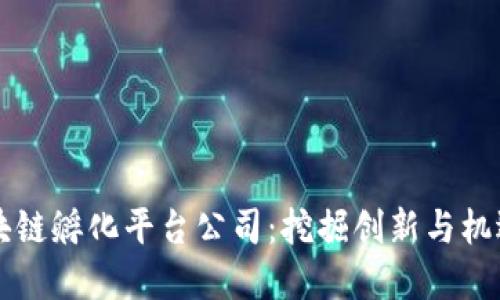 国内区块链孵化平台公司：挖掘创新与机遇的桥梁