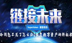 TP冷钱包不见了怎么办？恢复数字资产的终极指南