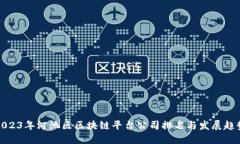 2023年河池区区块链平台公司排名与发展趋势